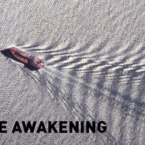 Crude Awakening