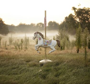 carousel horse image